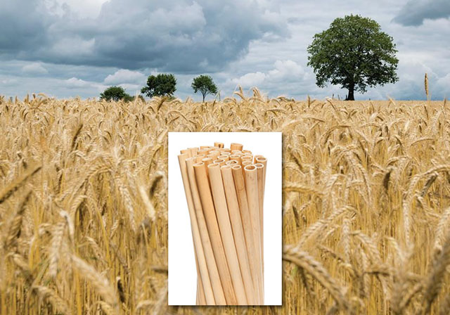 Wheat straw polypropylene